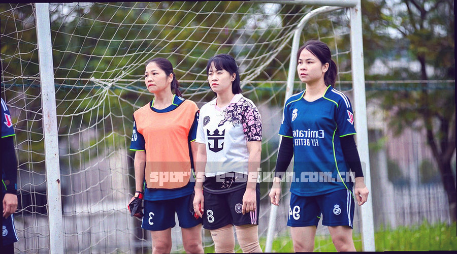 冷光下排列的分类指示标签卡与半开抽屉柜的特写